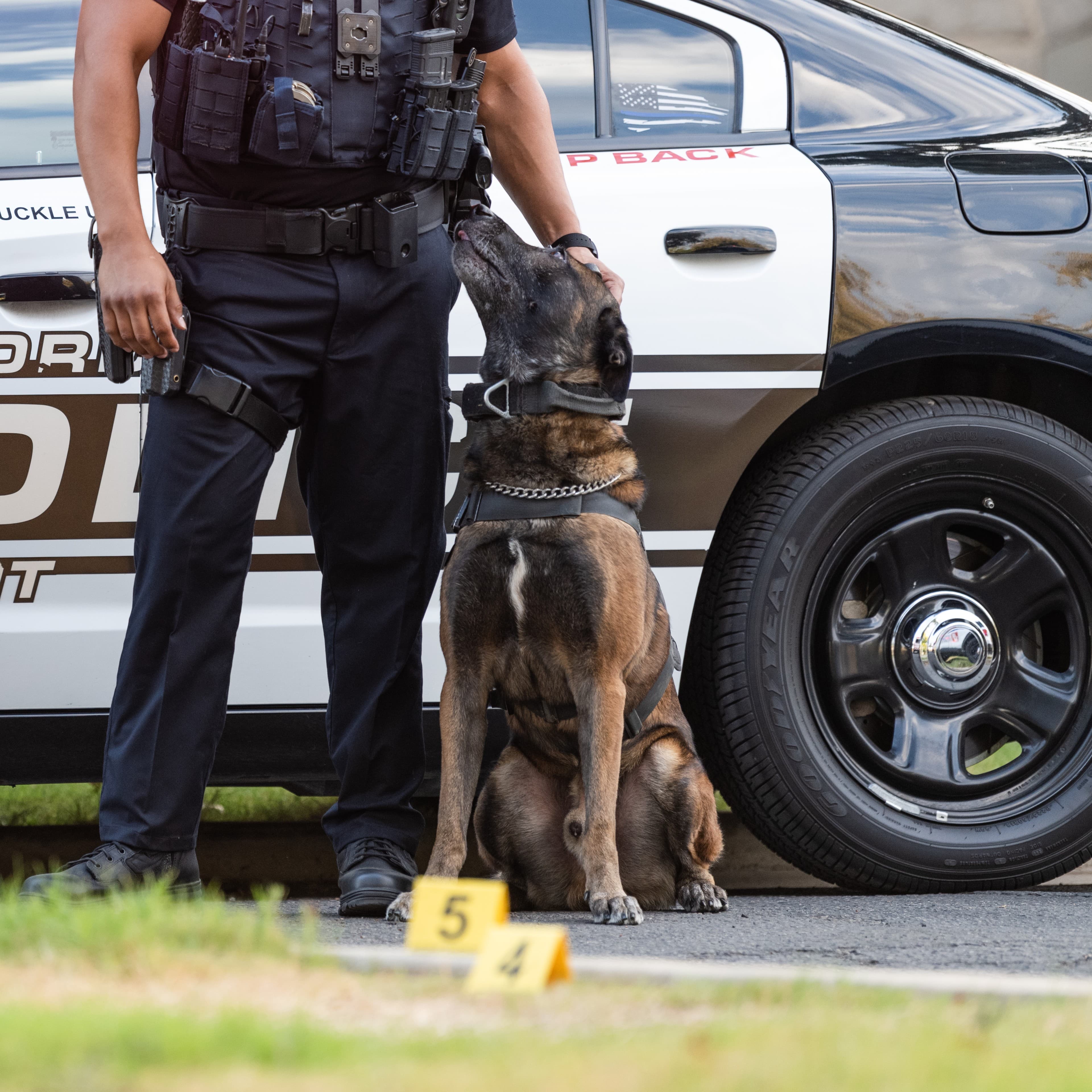 Binomios K9 - Imagen de producto